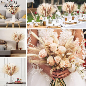 125PCS Fluffy Pampas Dried Flowers Bouquet Autumn Christmas Home Decoration Bunny Tail Grass Artifical Flower Boho Wedding Decor acacuss