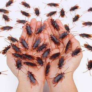 12pcs Artificial Fake Cockroach Halloween Props Funny Trick Joke Toys Lifelike Roaches Bug Halloween Spoof Decoration Gift acacuss