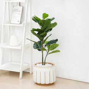 14" x 14" x 11" Round White and Brown Ceramic Striped Seasons Gloworm Plant Planter with Drainage Hole acacuss