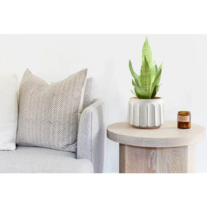 14" x 14" x 11" Round White and Brown Ceramic Striped Seasons Gloworm Plant Planter with Drainage Hole acacuss