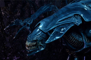 15 Inches 1/10 Neca Aliens Alien Queen Movie Anime Action Figure Movable Joint Soldiers Garage Kit Doll Collectible Model Toys acacuss