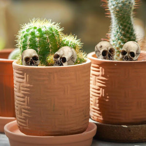 20 Pieces Mini Skulls Decor Skeleton Heads Realistic Skeleton Skulls Crafts Decoration For Flower Pot Home Halloween Decoration acacuss