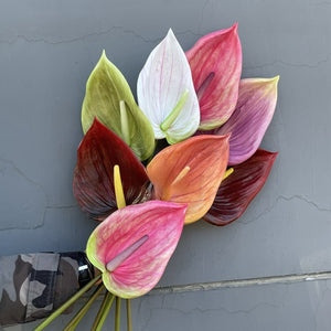 60CM Artificial Anthurium Plants Living Room Home Decoration Simulation 3D Printing Film for Home Aesthetic Room Decor acacuss