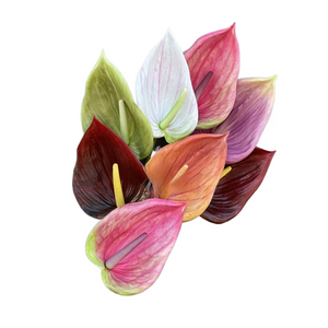 60CM Artificial Anthurium Plants Living Room Home Decoration Simulation 3D Printing Film for Home Aesthetic Room Decor acacuss