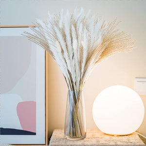 75Pcs Dried Flower Natural Pampas Grass Bouquet Bohemian Chic Decoration Real Rabbit Tail Reed For Wedding Accessories Decor acacuss