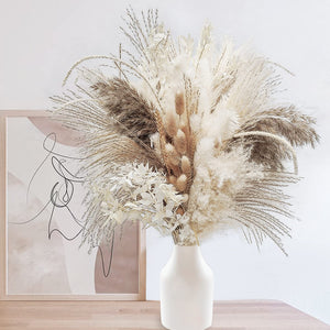 75Pcs Dried Flower Natural Pampas Grass Bouquet Bohemian Chic Decoration Real Rabbit Tail Reed For Wedding Accessories Decor acacuss