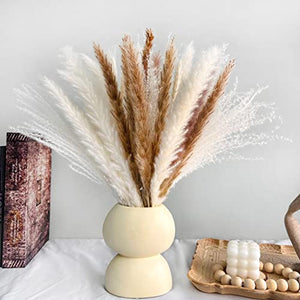 75Pcs Dried Flower Natural Pampas Grass Bouquet Bohemian Chic Decoration Real Rabbit Tail Reed For Wedding Accessories Decor acacuss