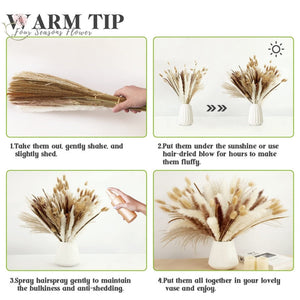 75Pcs Dried Flower Natural Pampas Grass Bouquet Bohemian Chic Decoration Real Rabbit Tail Reed For Wedding Accessories Decor acacuss