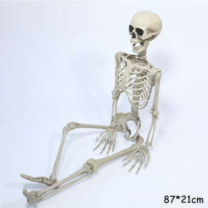 98cm Halloween Horror Anatomy Movable Skull Skeleton Halloween Props Poseable Full Life Size Skeleton Prop Halloween Decorations acacuss