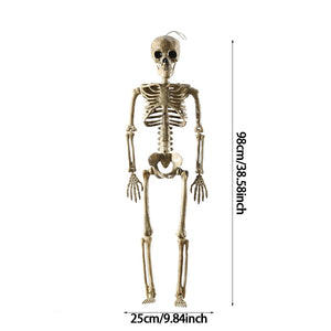 98cm Halloween Horror Anatomy Movable Skull Skeleton Halloween Props Poseable Full Life Size Skeleton Prop Halloween Decorations acacuss