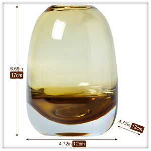 Amber Round Glass Vase Home Decor Indoor Living Room Office Desktop Ornaments Set Hydroponic Plant Flower Arrangement Container acacuss