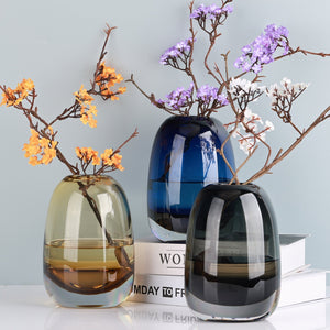 Amber Round Glass Vase Home Decor Indoor Living Room Office Desktop Ornaments Set Hydroponic Plant Flower Arrangement Container acacuss