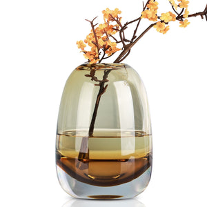Amber Round Glass Vase Home Decor Indoor Living Room Office Desktop Ornaments Set Hydroponic Plant Flower Arrangement Container acacuss