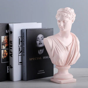 Ancient Greece European Resin David Venus Head Statuees Decoration Statues for decoration Home acacuss