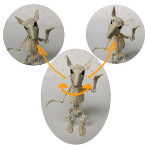 Bat Mouse Crow Skeleton Bones Halloween Animal Horror Frightening Ornaments Hallowmas Creepy Decoration Props Party acacuss