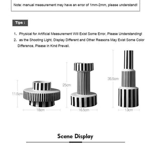 Black and White Ceramic Vases acacuss