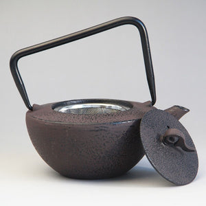Cast Iron Tea Pot Set Japanese Teapot Tetsubin Kettle Drinkware KungFu Tools Stainless Steel Strainer Tea Kettle 450ml acacuss
