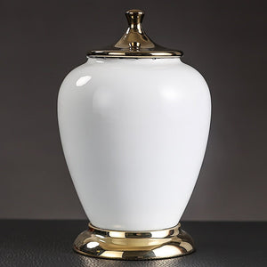Ceramic Tea Caddy Large Storage Tank Decoration Accessories Sealed Jar Tea Caddies Food Finishing Tank Candy Jar Tea Organizer acacuss