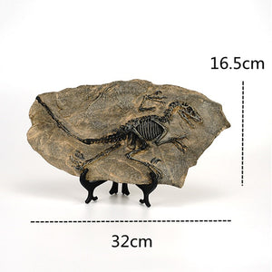 Creative Dinosaur Fossil Resin Craft Decoration Retro Animal Statue Miniature Indoor Living Room Decoration Souvenir Home Gift acacuss
