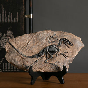 Creative Dinosaur Fossil Resin Craft Decoration Retro Animal Statue Miniature Indoor Living Room Decoration Souvenir Home Gift acacuss