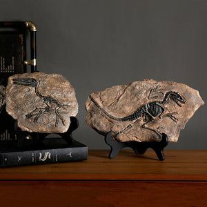 Creative Dinosaur Fossil Resin Craft Decoration Retro Animal Statue Miniature Indoor Living Room Decoration Souvenir Home Gift acacuss