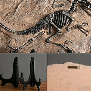 Creative Dinosaur Fossil Resin Craft Decoration Retro Animal Statue Miniature Indoor Living Room Decoration Souvenir Home Gift acacuss