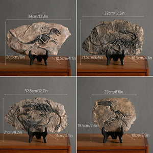 Creative Dinosaur Fossil Resin Craft Decoration Retro Animal Statue Miniature Indoor Living Room Decoration Souvenir Home Gift acacuss
