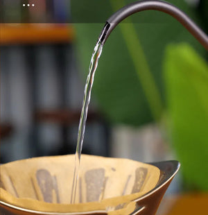 Drip Kettle 600ml Coffee Tea Pot Stainless Steel Non-stick Gooseneck Drip Kettle Wooden Handle Coffee Pot acacuss