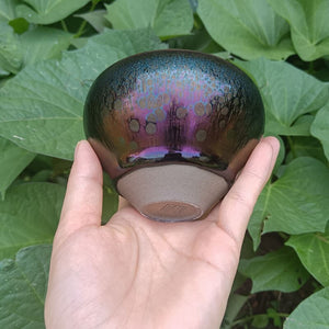 Jian zhan Kiln Change Tenmoku Tea Cup Glorious Color Change Tea Bowl Ceramic Chinese Intangible Cultural Heritage Gift Box acacuss