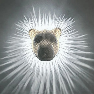 Lofytain LED Animal Projection Lamp Owl Lion Eagle Night Light Animal Wall Sconce Study Bedroom Decoration Ornaments acacuss
