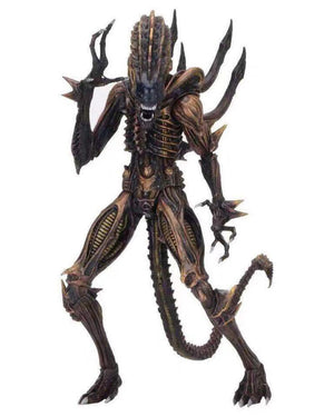 NECA Alien VS Predator Figure Scorpion Snake Alien 18CM 13th Sgt Apone Kenner Action Figure Model Toy Gift acacuss