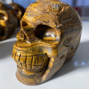 Natural Stone Skeletons, Tiger Eye Stone Skeletons, Crystal Healing Gifts, Crafts, Home Decor, Polished Figurines, Halloween Dec acacuss