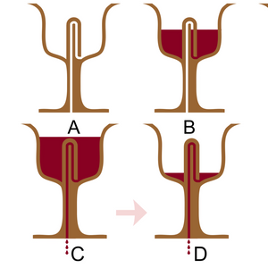 Pythagoras cup, Greedy Cup, Cup of Justice, Tantalus cup or i koupa tis dikaiosynis Fair Cup 7.5CM - acacuss