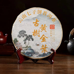 44913022304520