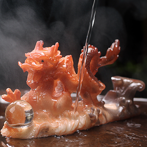 Tea Pet Dragon acacuss