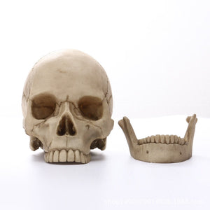 1:1 Human Head Skull Statue for Home Decor Resin Figurines Halloween Decoration Sculpture Medical Teaching Sketch Model Crafts acacuss