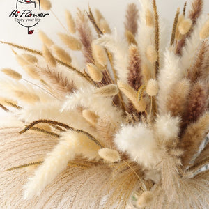 125PCS Fluffy Pampas Dried Flowers Bouquet Autumn Christmas Home Decoration Bunny Tail Grass Artifical Flower Boho Wedding Decor acacuss