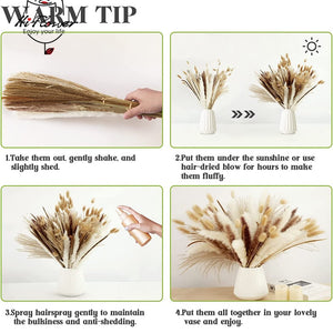 125PCS Fluffy Pampas Dried Flowers Bouquet Autumn Christmas Home Decoration Bunny Tail Grass Artifical Flower Boho Wedding Decor acacuss
