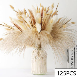 125PCS Fluffy Pampas Dried Flowers Bouquet Autumn Christmas Home Decoration Bunny Tail Grass Artifical Flower Boho Wedding Decor acacuss