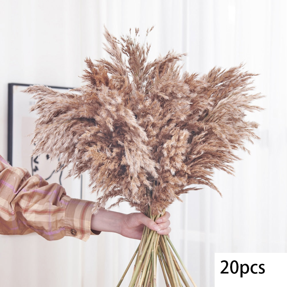 125PCS Fluffy Pampas Dried Flowers Bouquet Autumn Christmas Home Decoration Bunny Tail Grass Artifical Flower Boho Wedding Decor acacuss