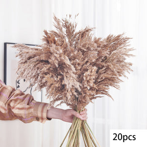 125PCS Fluffy Pampas Dried Flowers Bouquet Autumn Christmas Home Decoration Bunny Tail Grass Artifical Flower Boho Wedding Decor acacuss
