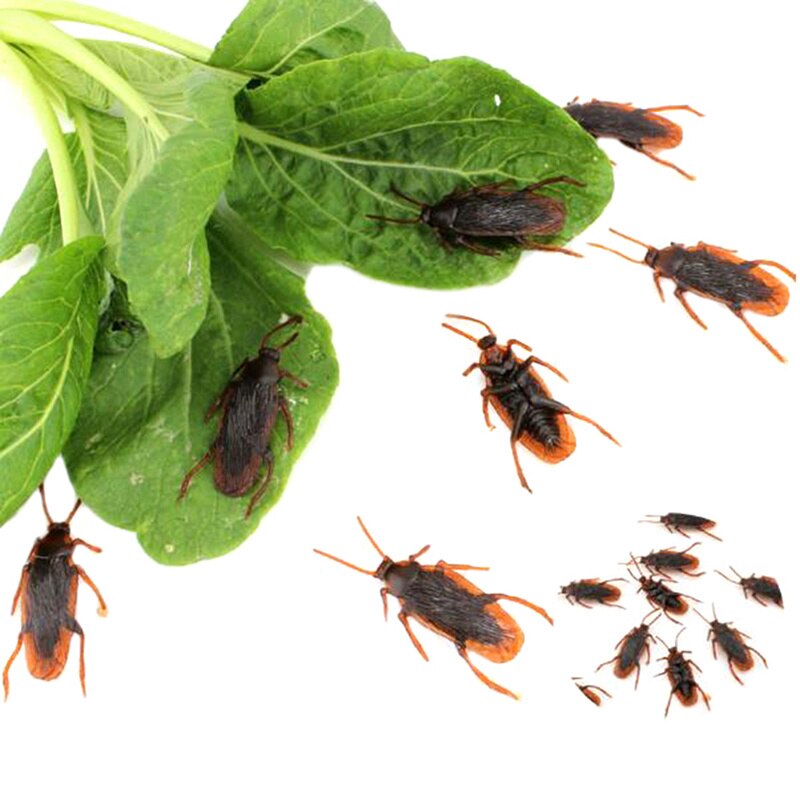 12pcs Artificial Fake Cockroach Halloween Props Funny Trick Joke Toys Lifelike Roaches Bug Halloween Spoof Decoration Gift acacuss