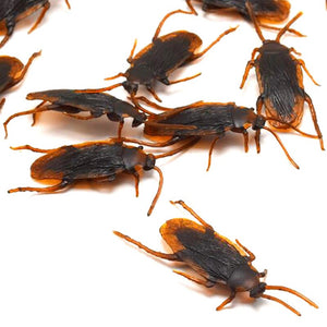 12pcs Artificial Fake Cockroach Halloween Props Funny Trick Joke Toys Lifelike Roaches Bug Halloween Spoof Decoration Gift acacuss