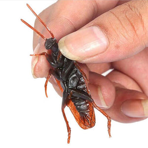 12pcs Artificial Fake Cockroach Halloween Props Funny Trick Joke Toys Lifelike Roaches Bug Halloween Spoof Decoration Gift acacuss