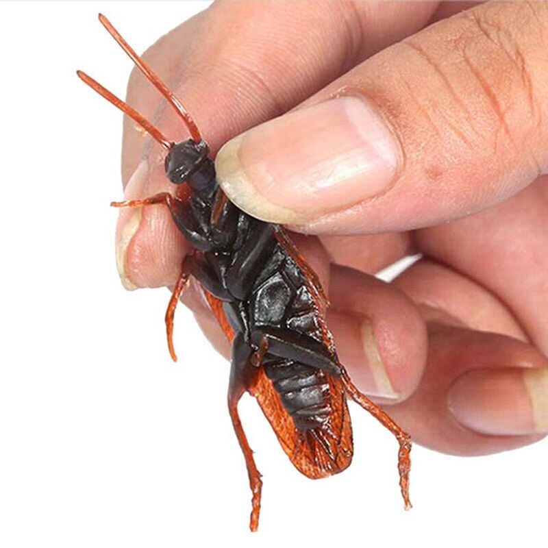 12pcs Artificial Fake Cockroach Halloween Props Funny Trick Joke Toys Lifelike Roaches Bug Halloween Spoof Decoration Gift acacuss