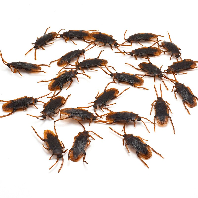 12pcs Artificial Fake Cockroach Halloween Props Funny Trick Joke Toys Lifelike Roaches Bug Halloween Spoof Decoration Gift acacuss