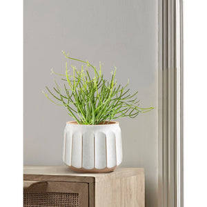 14" x 14" x 11" Round White and Brown Ceramic Striped Seasons Gloworm Plant Planter with Drainage Hole acacuss