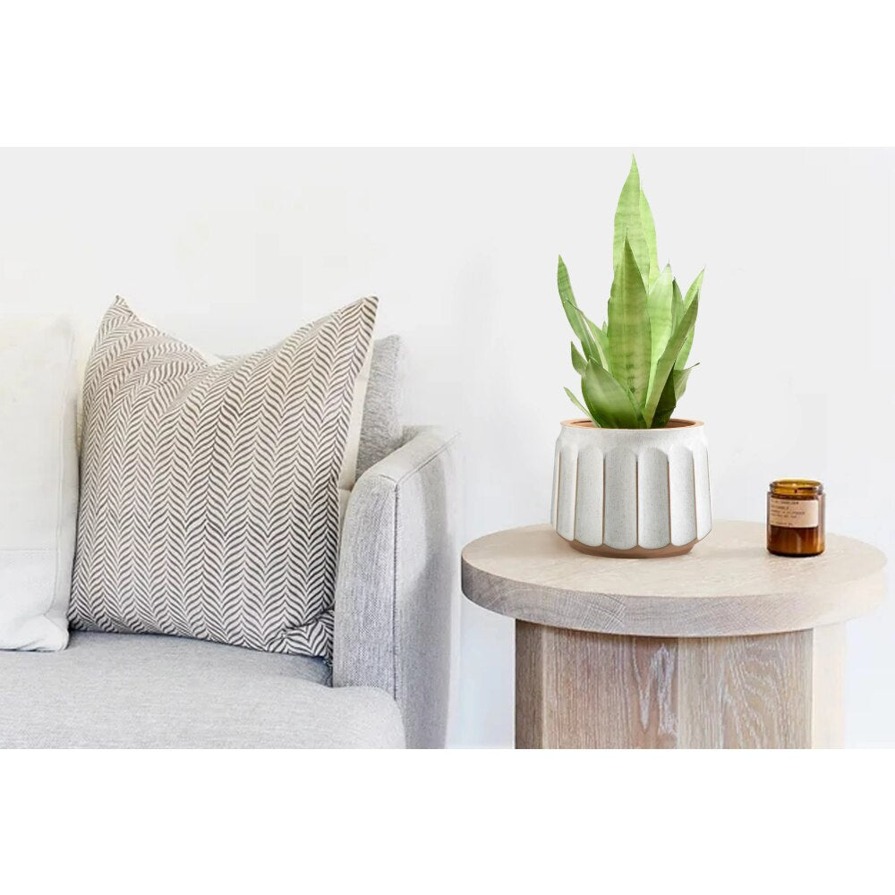 14" x 14" x 11" Round White and Brown Ceramic Striped Seasons Gloworm Plant Planter with Drainage Hole acacuss