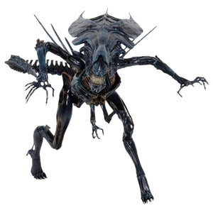 15 Inches 1/10 Neca Aliens Alien Queen Movie Anime Action Figure Movable Joint Soldiers Garage Kit Doll Collectible Model Toys acacuss