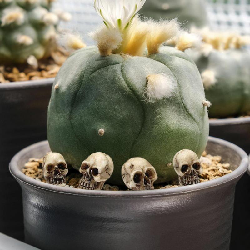 20 Pieces Mini Skulls Decor Skeleton Heads Realistic Skeleton Skulls Crafts Decoration For Flower Pot Home Halloween Decoration acacuss
